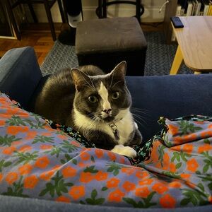 Meet your Posher, Molly